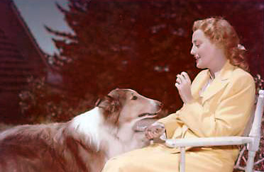 Jeanette MacDonald & Lassie in The Sun Comes Up (1949)