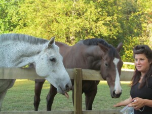 Otteridge Farm